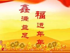 中国人寿鑫福年年荣耀上市产品介绍16页.ppt