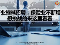 IT行业缩减招聘保险业不断增12页.ppt