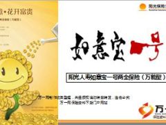 阳光如意宝一号产品优势介绍8页.ppt