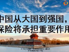 中国从大国到强国保险将承担重要作用10页.ppt