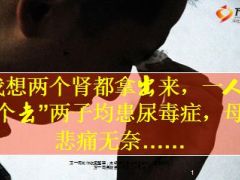 两子均患尿毒症母亲称我想两个肾都拿出来9页.ppt