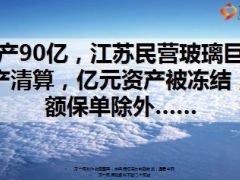 资产90亿江苏民营玻璃巨头停产清算亿元资产被冻结14页.ppt