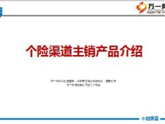 中国人寿个险渠道主销产品介绍51页.ppt