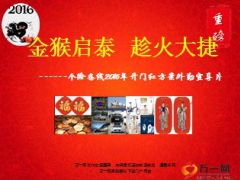 2016年条线个险开门红方案外勤宣导片72页.ppt