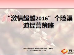 2015个险业务发展成果及问题2016年度及开门红发展思路40页.ppt