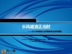 2014年保险行业年报解读及前景展望23页.ppt