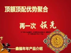 国寿鑫福年年亮点解析目标市场介绍56页.ppt