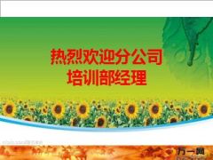 分公司新人项目2016年工作规划57页.ppt