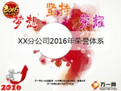 分公司2016年荣誉体系介绍16页.ppt