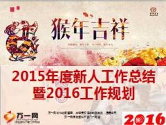 分公司2015年度新人工作总结暨2016工作规划38页.ppt
