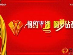 省保险业总结2015展望2016工作汇报模版26页.ppt