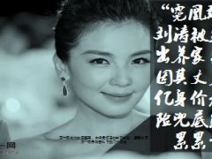 刘涛被迫复出养家只因其丈夫百亿身价无保险兜底负债累累13页.ppt