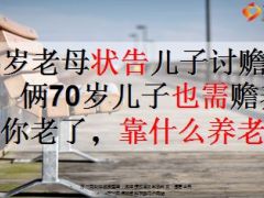 95岁老母状告儿子讨赡养费俩70岁儿子也需赡养12页.ppt