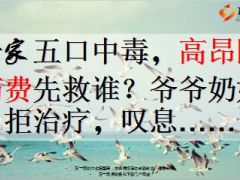 一家五口中毒高昂医药费先救谁爷爷奶奶拒治疗9页.ppt