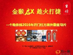 个险条线2016年开门红方案外勤宣导片78页.ppt