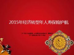 2015年经济转型年人寿保险护航16页.ppt