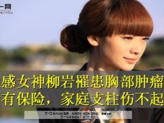 性感女神柳岩罹患胸部肿瘤11页.ppt