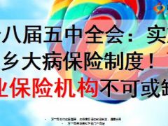 十八届五中全会实施城乡大病保险制度商业保险机构不可或缺13页.ppt