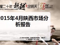 2015年4月陕西分公司市场分析报告33页.ppt