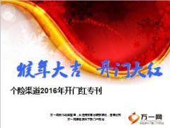 个险渠道2016年开门红备战专刊37页.ppt