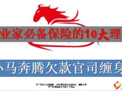 小马奔腾欠款官司缠身企业家必备保险的10大理由15页.ppt