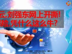 马云刘强东网络保险开撕15页.ppt