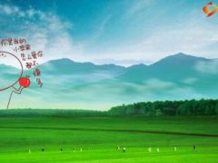 2016开门红营销启动会流程方案宣导29页.ppt