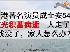 香港著名演员成奎安54岁花光积蓄病逝13页.ppt