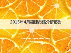 2015年4月福建市场分析报告31页.ppt