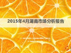 湖南分公司2015年4月市场分析报告数据59页.ppt