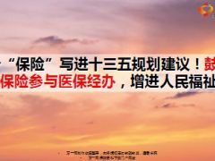 17个保险写进十三五规划建议12页.ppt