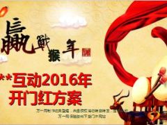 2016年猴年互动车险业务开门红方案18页.ppt
