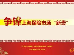 上海保险市场新贵公司及产品分析17页.ppt