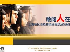 上海地区寿险营销员现状及2015发展机会分析46页.ppt