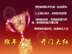 2015年指标达成总结及2016开门红目标方案宣导.ppt