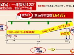太平洋人寿幸福相伴复利的力量14页.ppt