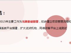保险公司分公司2015年O2O项目总结模版19页.ppt