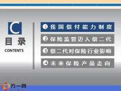 偿二代来袭险企何去何从26页.ppt