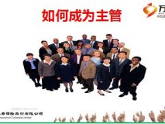 中国人寿2015基本法解析29页.ppt