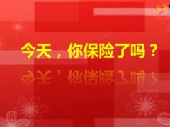 马英九保险是社会安定的力量12页.ppt
