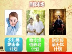 国寿鑫福年年目标市场与话术案例14页.ppt