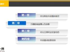 2015年上半年河北市场分析报告45页.ppt