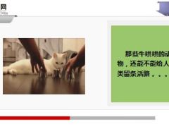 每日快乐早会15年11月13日使用15页.ppt