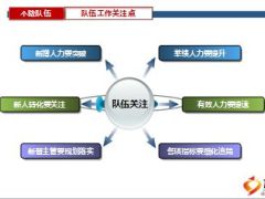 个险2015年经营分析总结45页.ppt