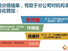 2015年机构分类分级管理实施办法解读39页.ppt