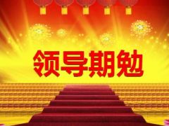 全预算推广2016开门红客户大拜访活动启动培训流程18页.ppt