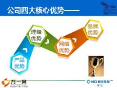 2015年新华人寿公司介绍26页.ppt