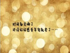 2016养老产说会普通版国寿鑫福年年36页.ppt