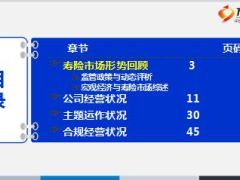 KPI经营分析寿险市场形势及经营运作状况67页.ppt