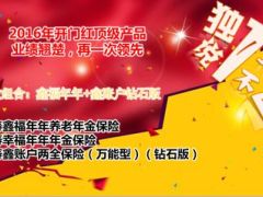 中国人寿鑫福年年2016开门红挑战机遇支持26页.ppt